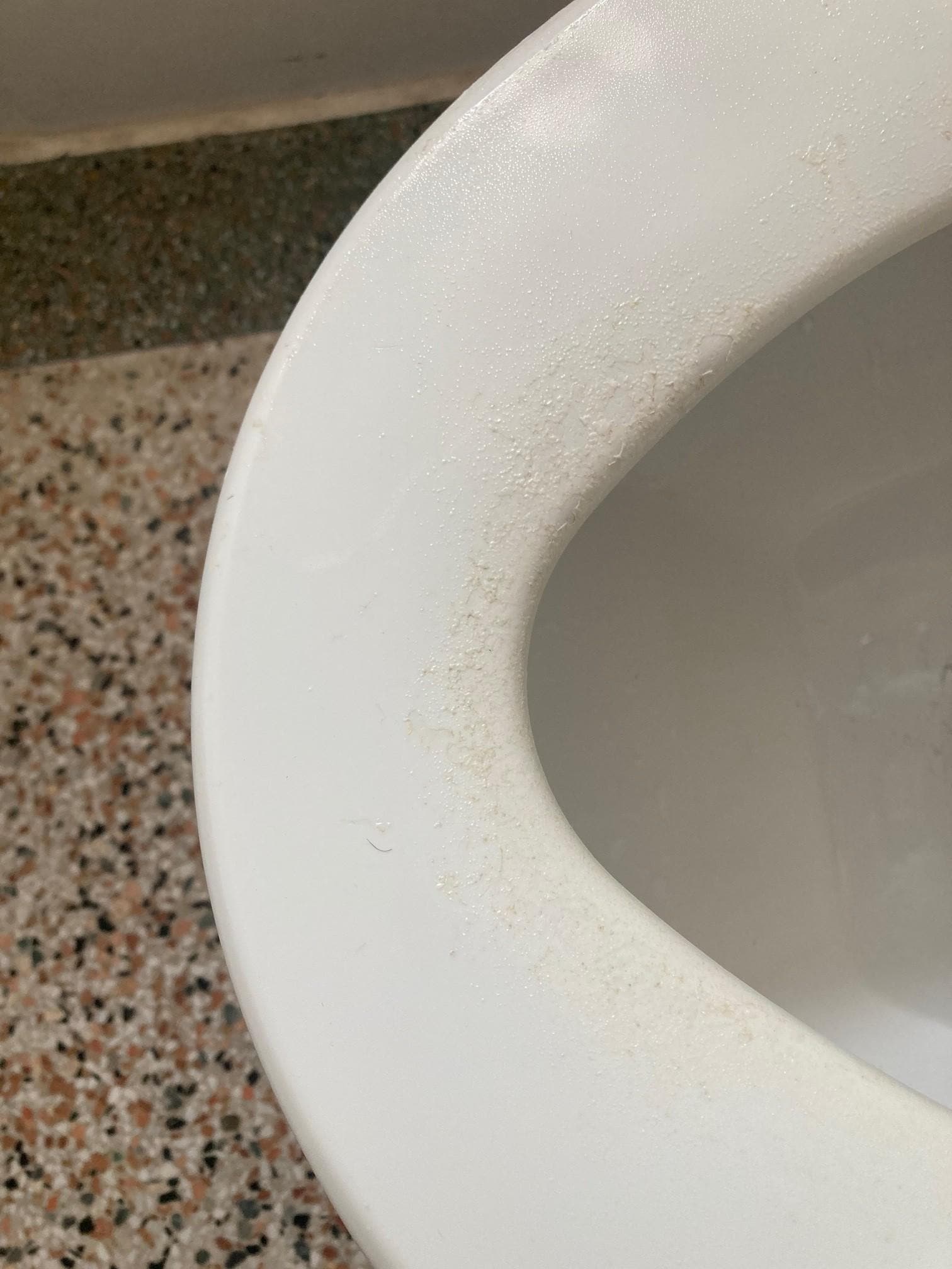 toilet seat