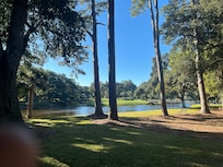 Back yard view (Be careful! Small gators in pond!)