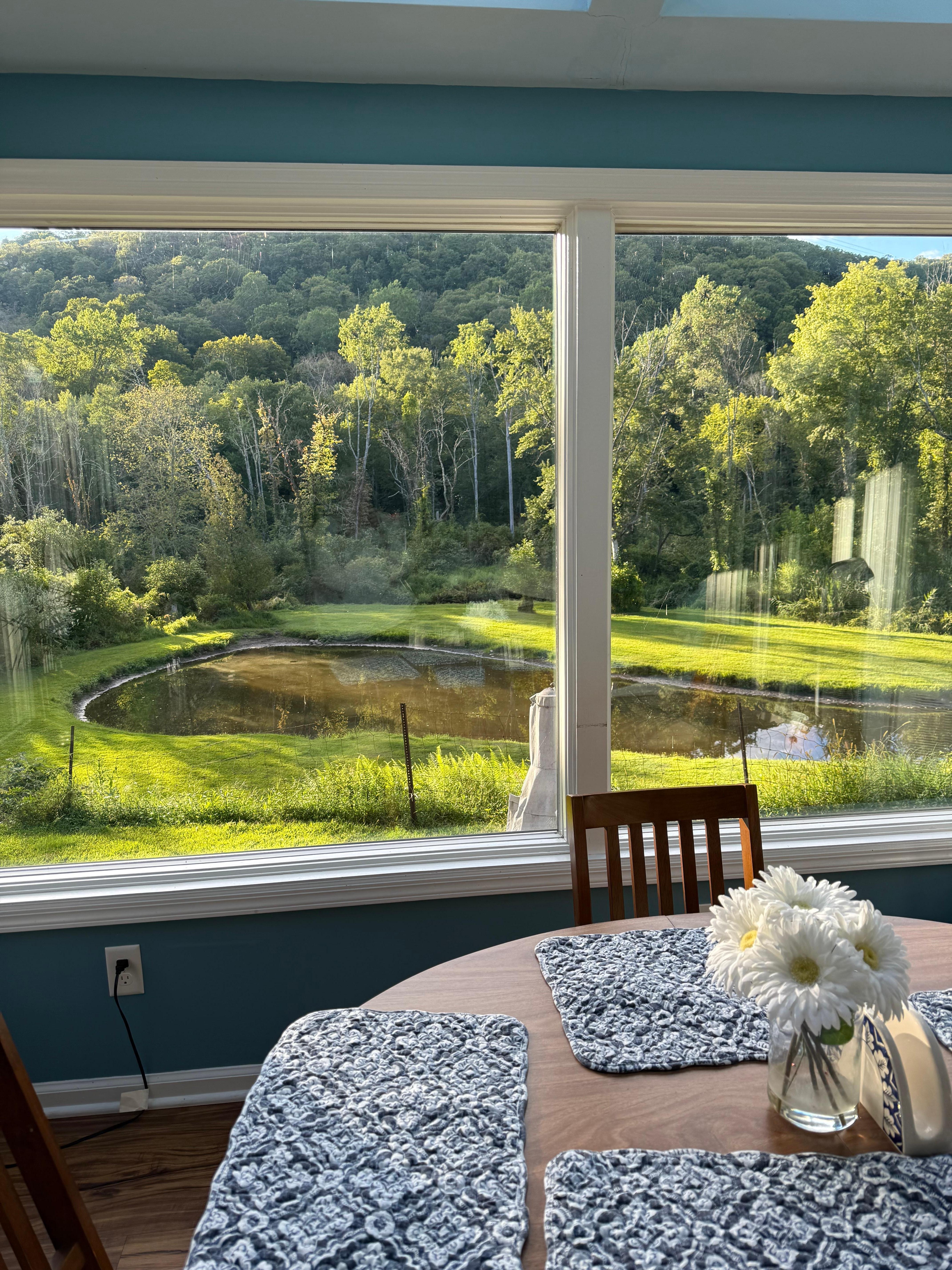 View from kitchen table