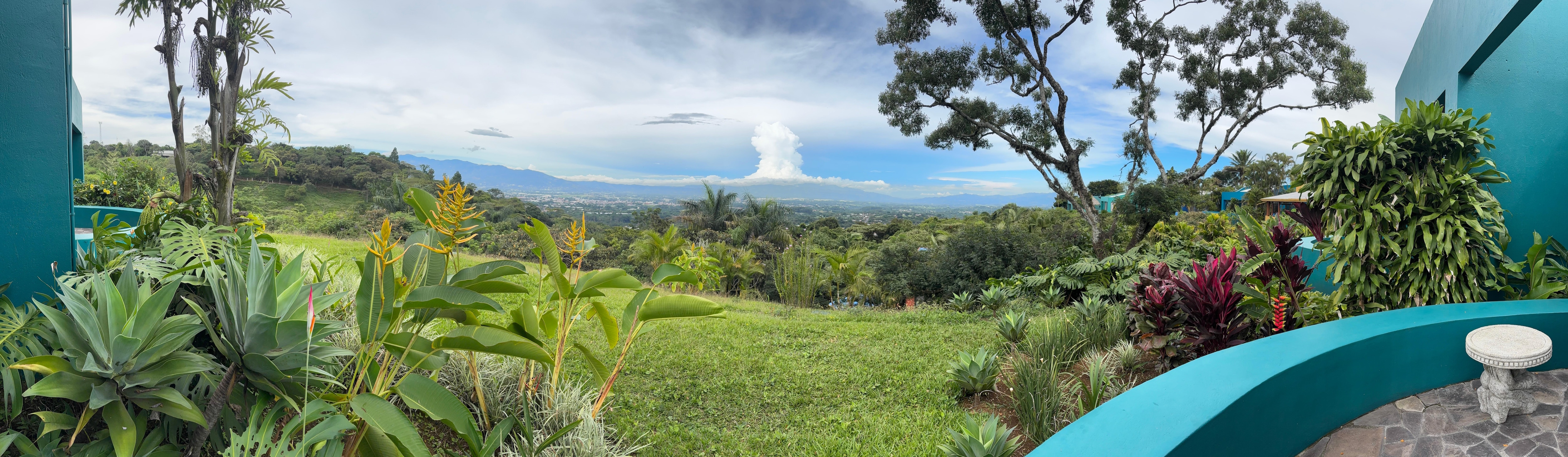 View from the terrace