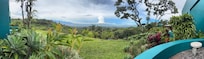 View from the terrace