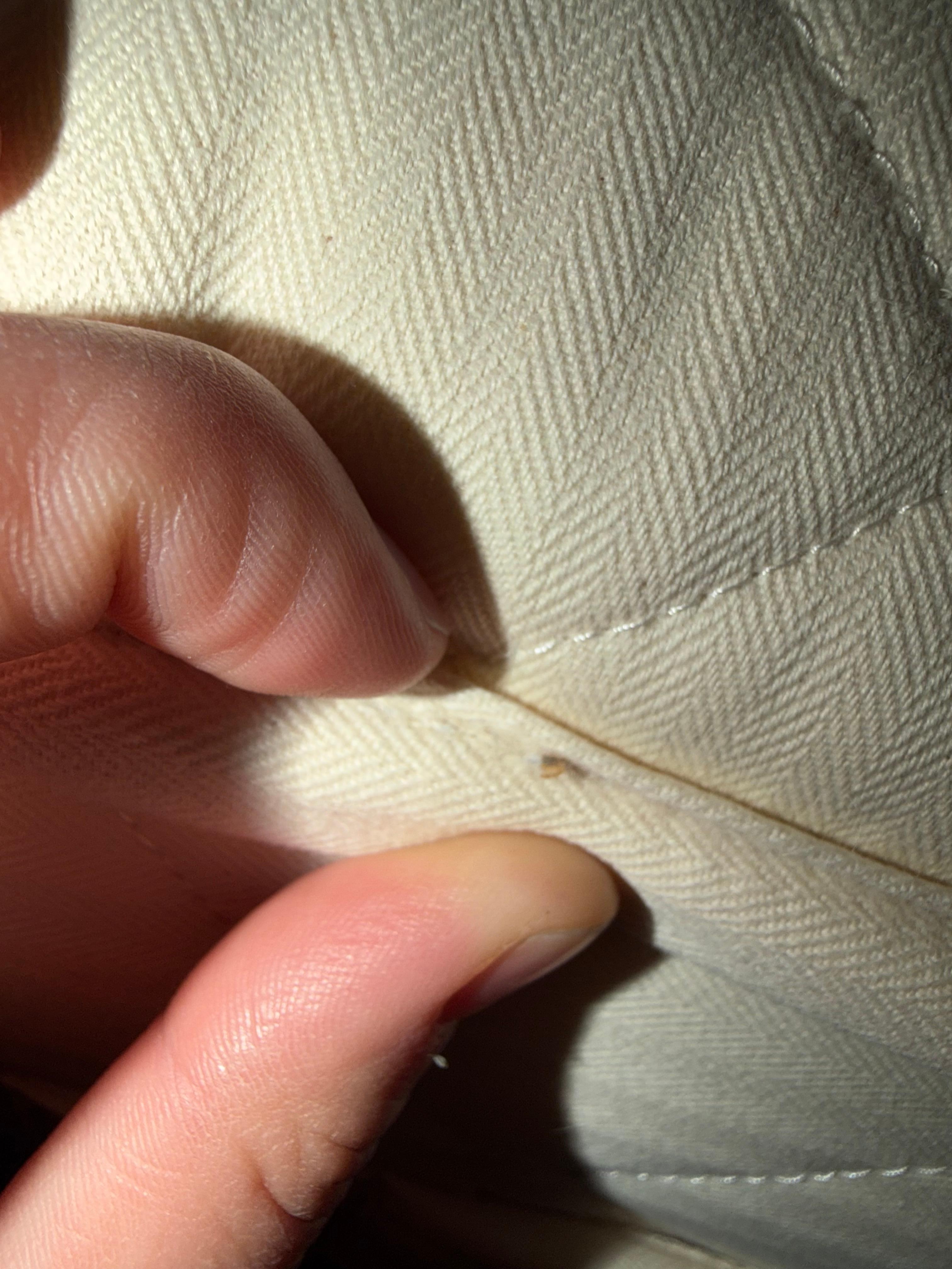 Second room between mattress creases