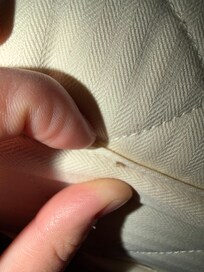 Second room between mattress creases