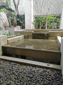 Vue jardin depuis la chambre