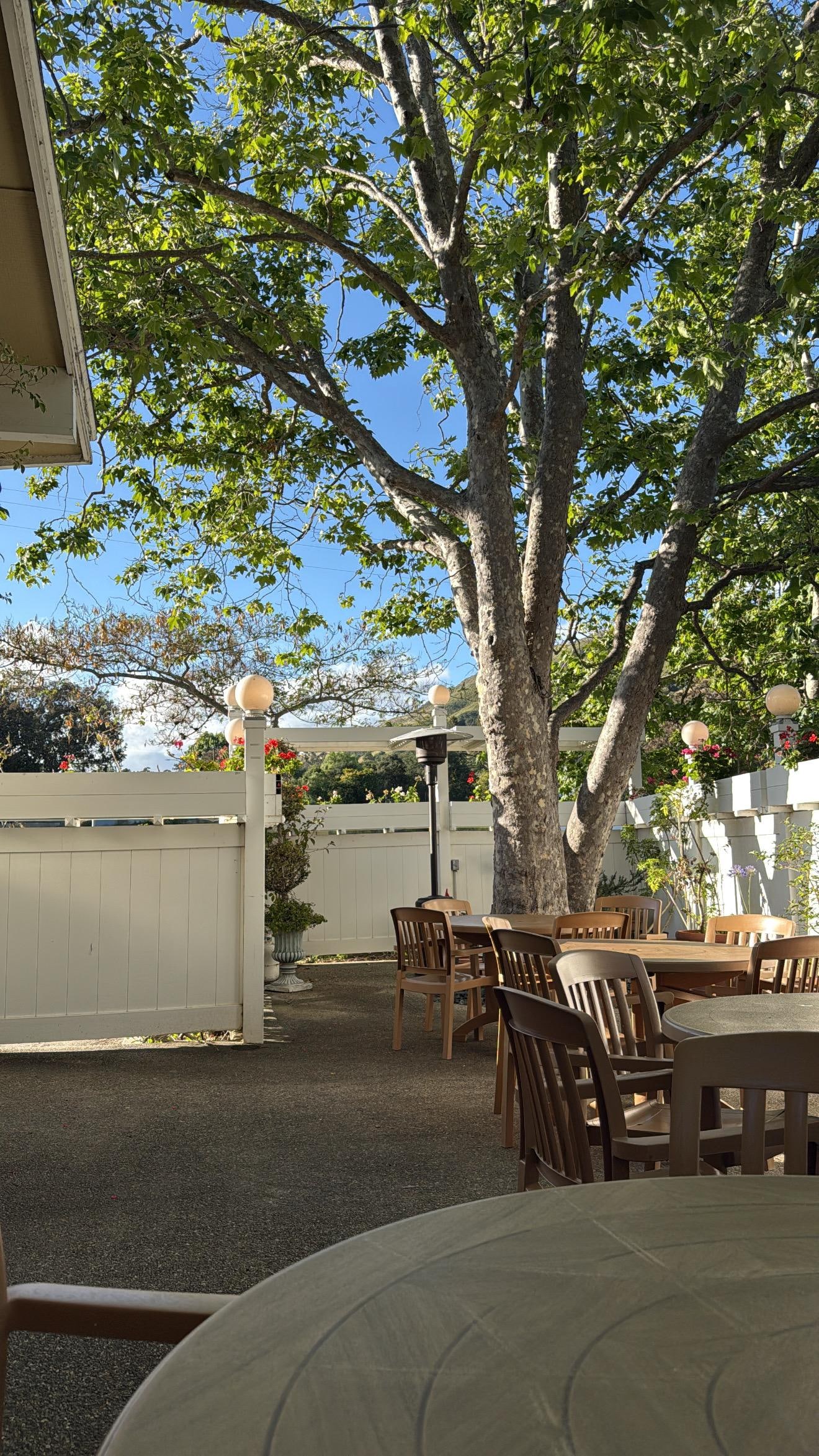 At the garden area.