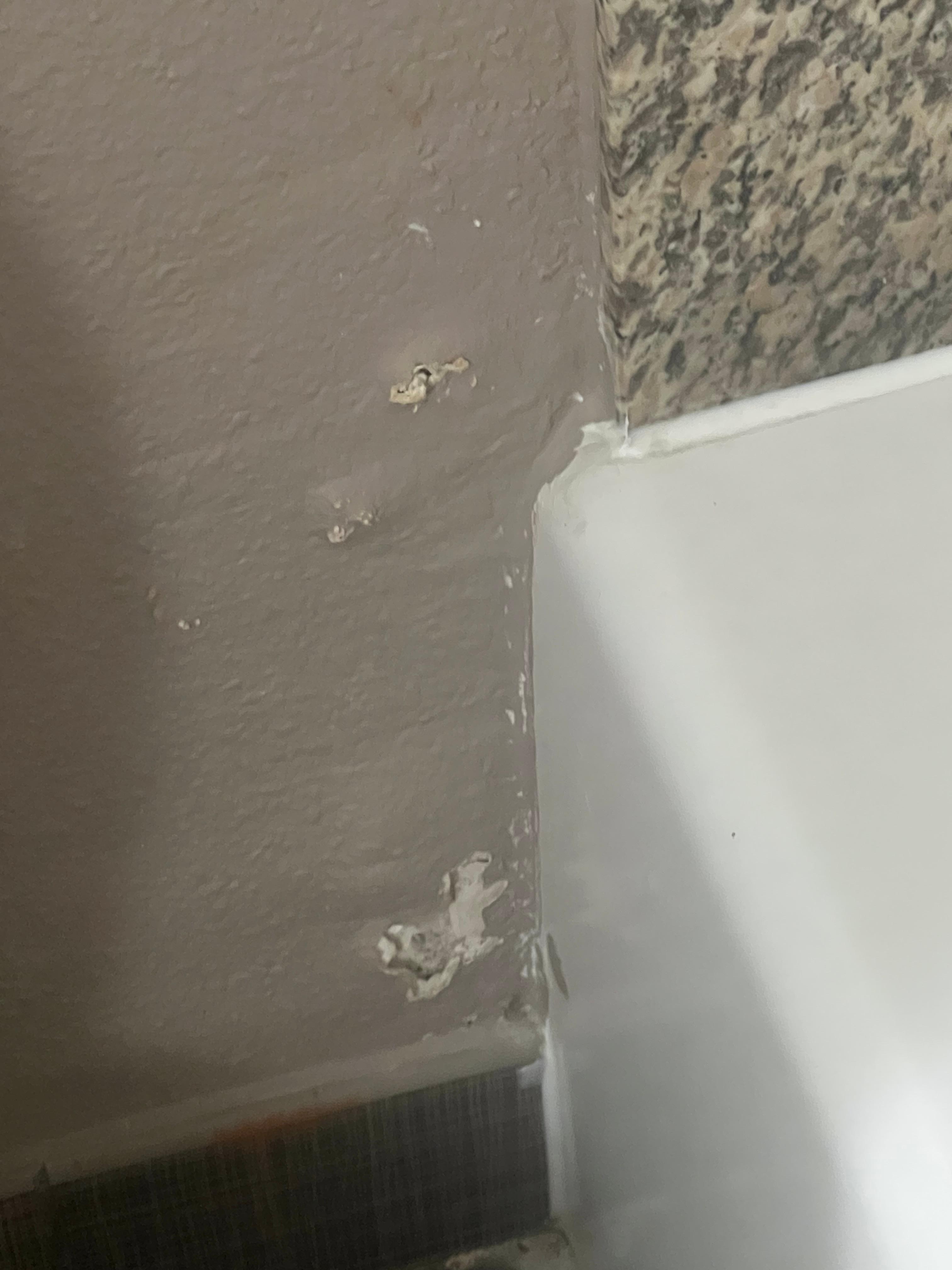 Paint coming off