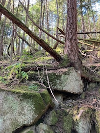 Hiking the Norman trail
