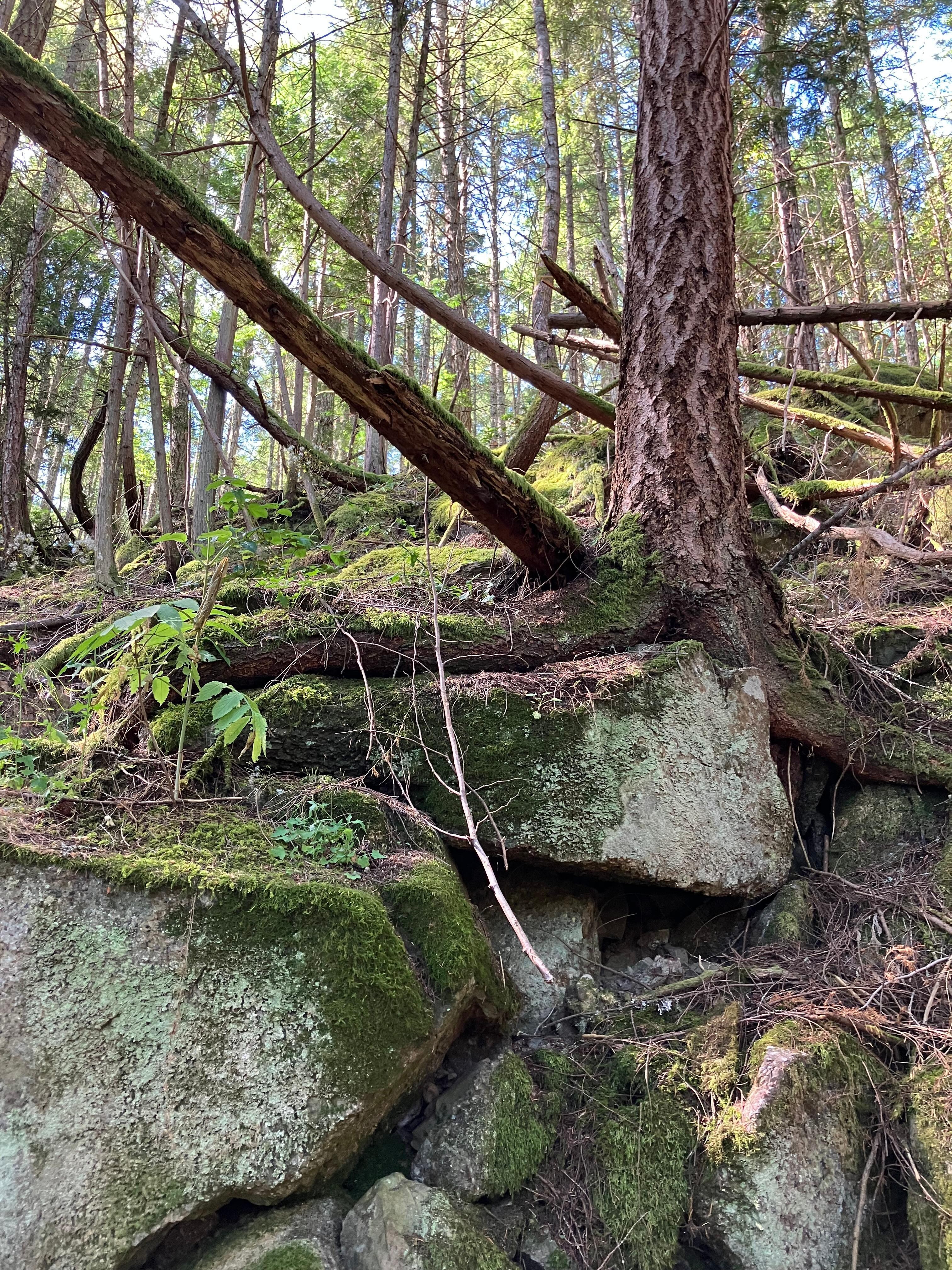 Hiking the Norman trail