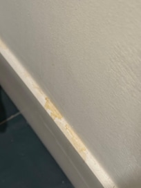 Urine on the wall next to the toilet