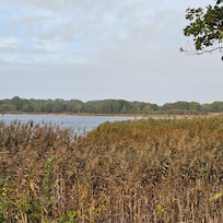 Wreechener Bodden