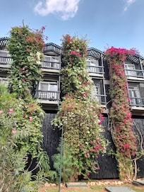 Taita Hills exterior