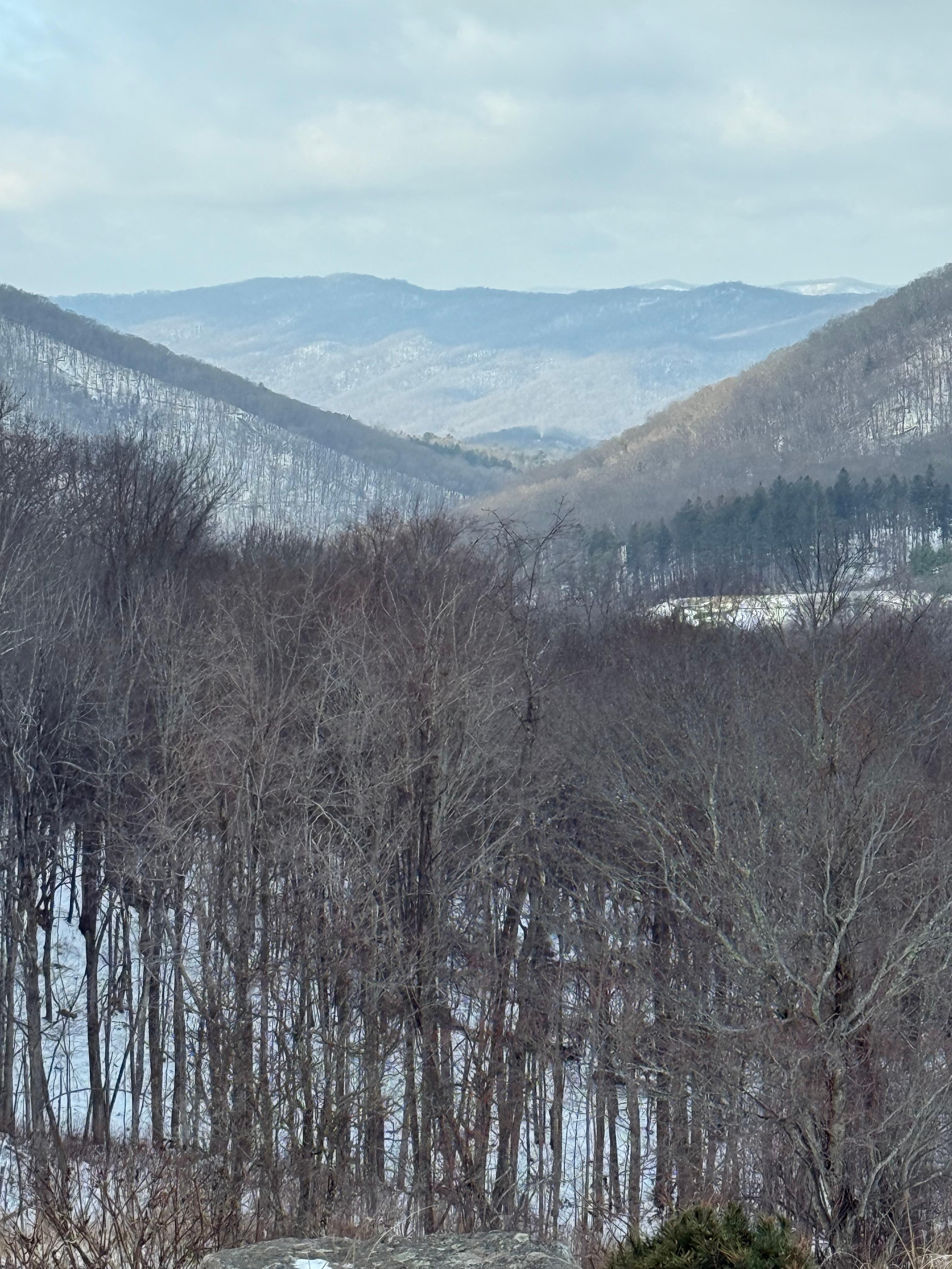 Views from the living room