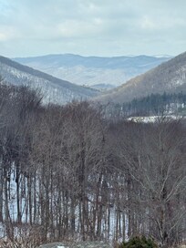 Views from the living room
