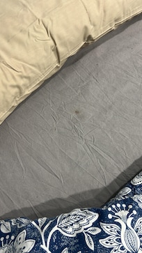 Dirty stained and disgusting bed sheets