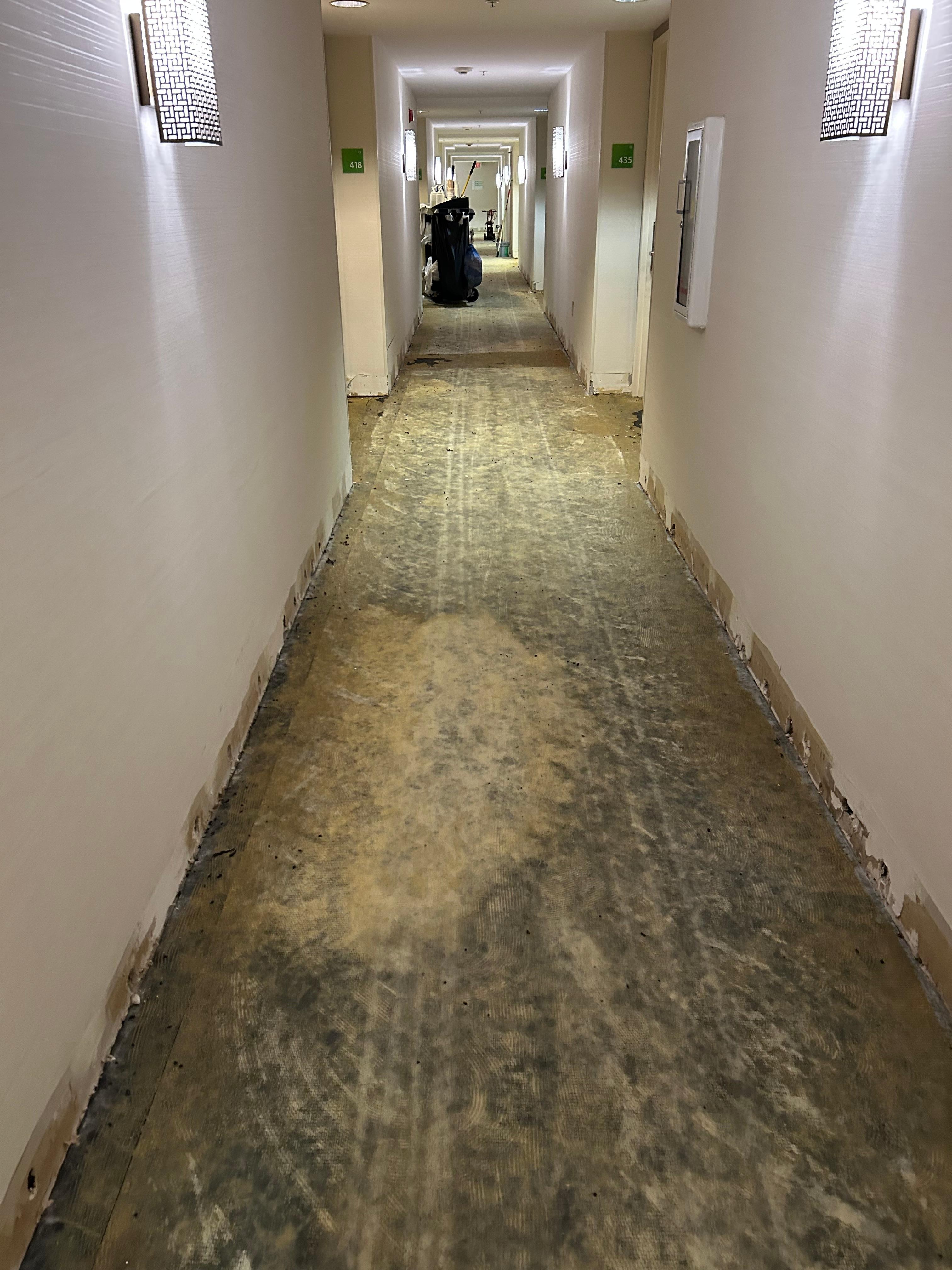 Changing the carpet and heavy paint fumes in the elevators.