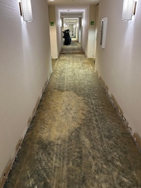 Changing the carpet and heavy paint fumes in the elevators.