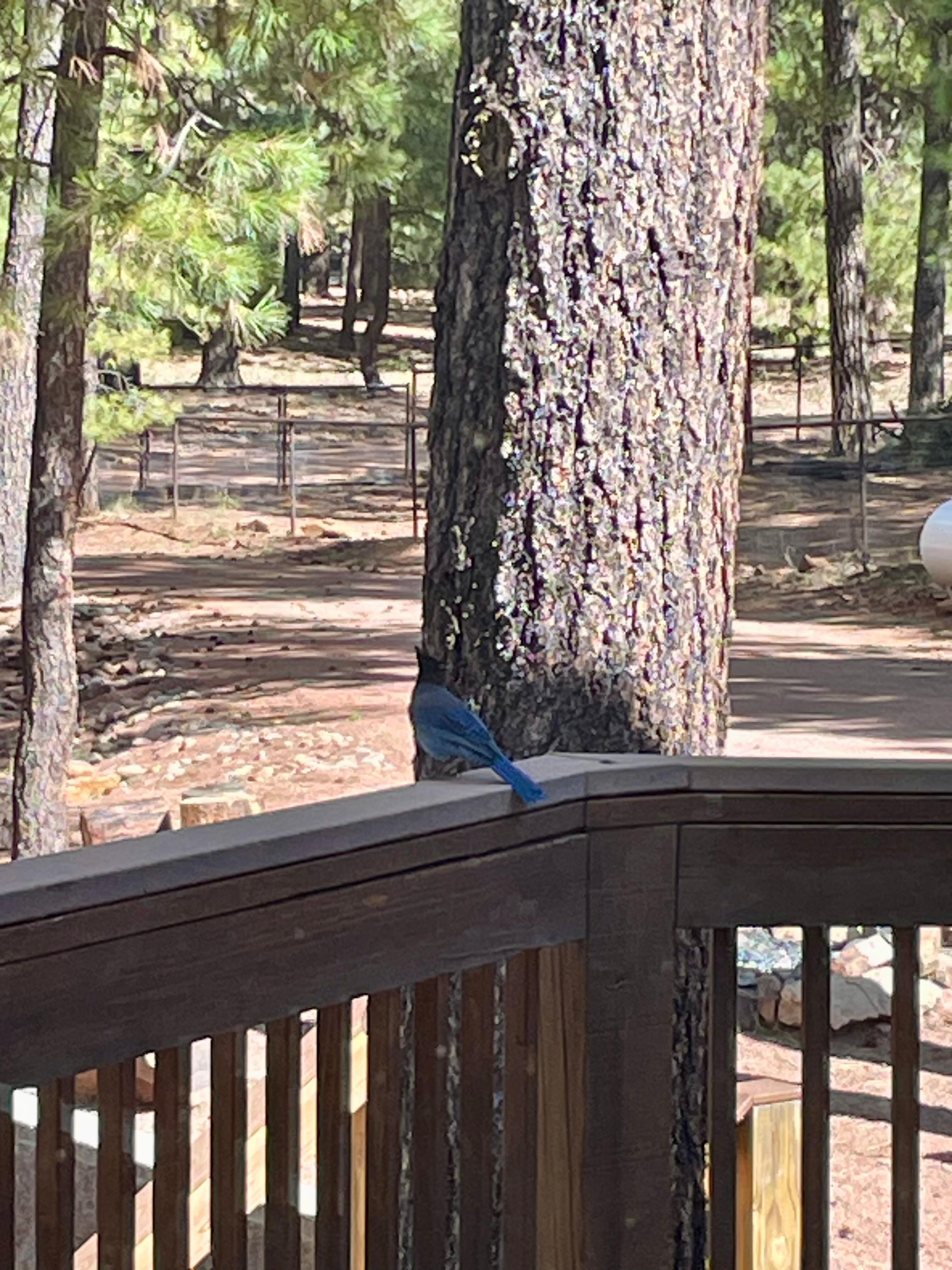 Beautiful outdoor seating and views