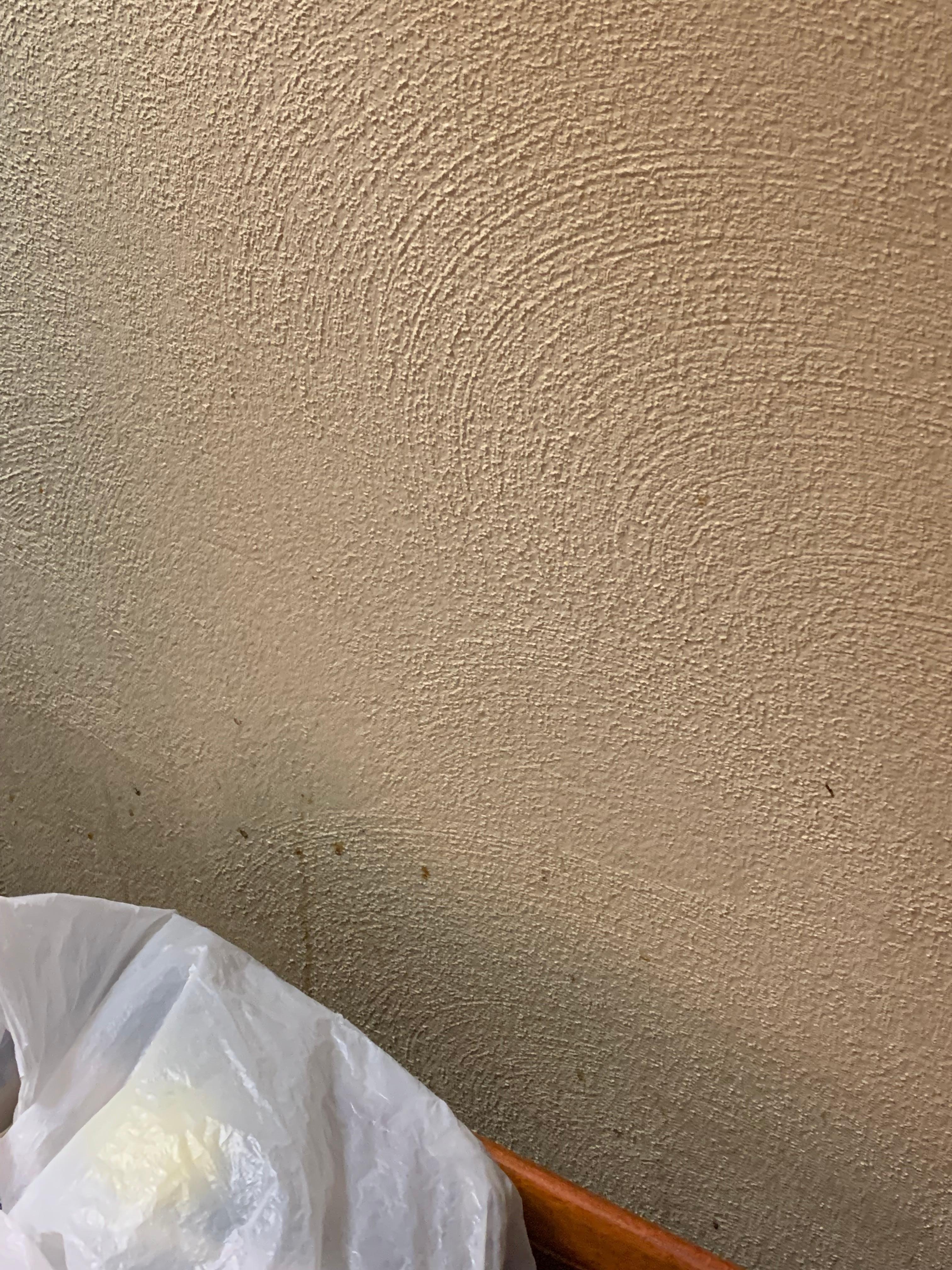 Coffee maybe dried on the wall