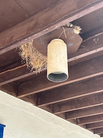 Birds nesting in rafter every where