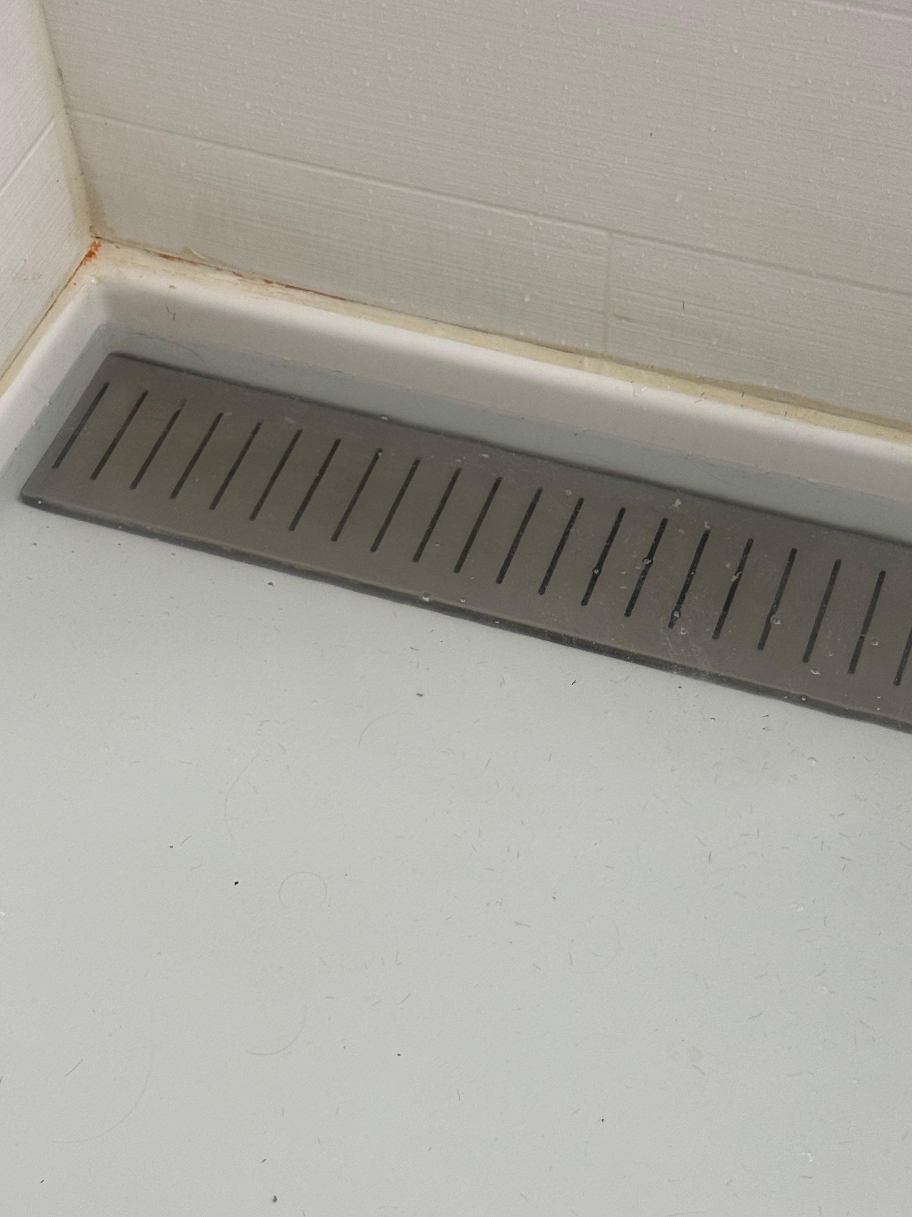 Shower drain. 