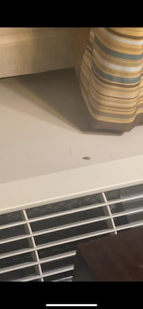 Here is just one of the roach