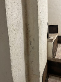 mold presence on stairs
