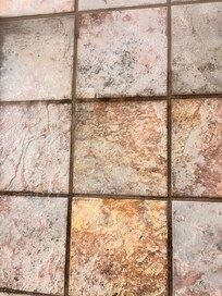 Mildew/mold in shower