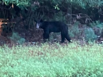Special visitor