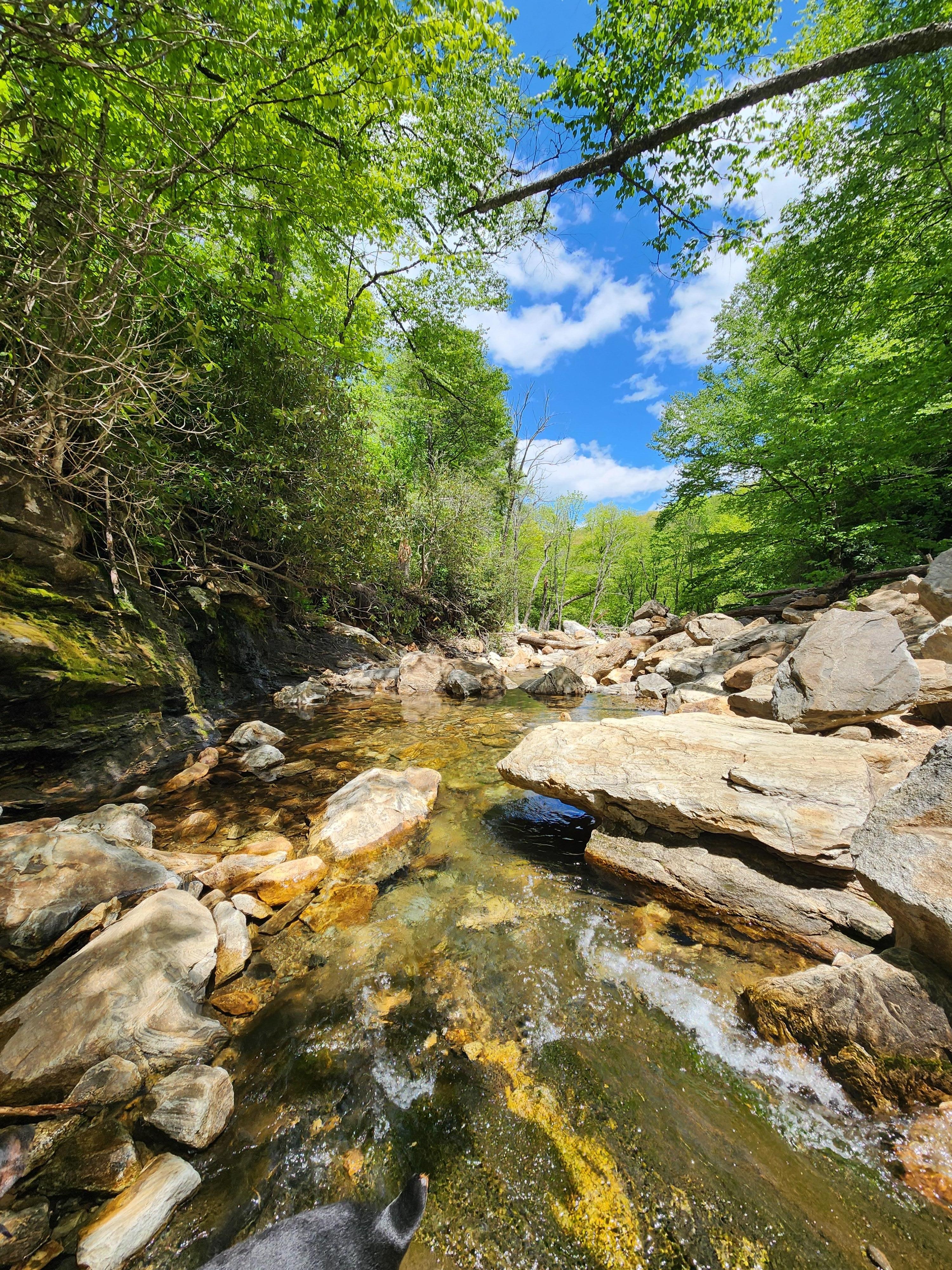 River at Skinny Dip Falls