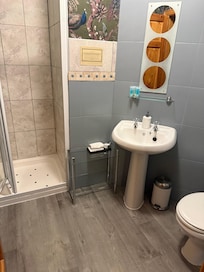 Our bathroom and shower.