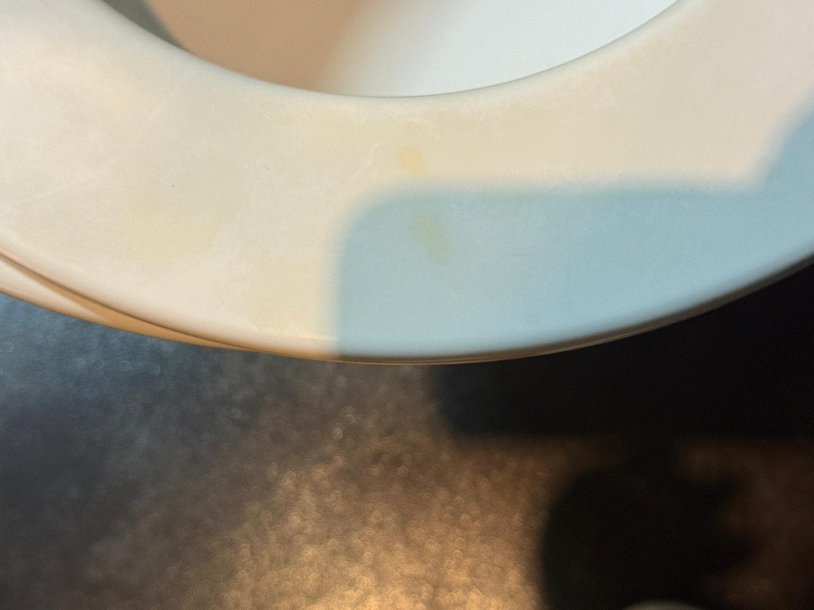 This is the picture of toilet seat when we checked in