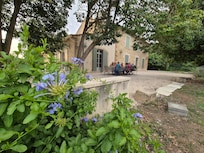Beautiful greenery of the house