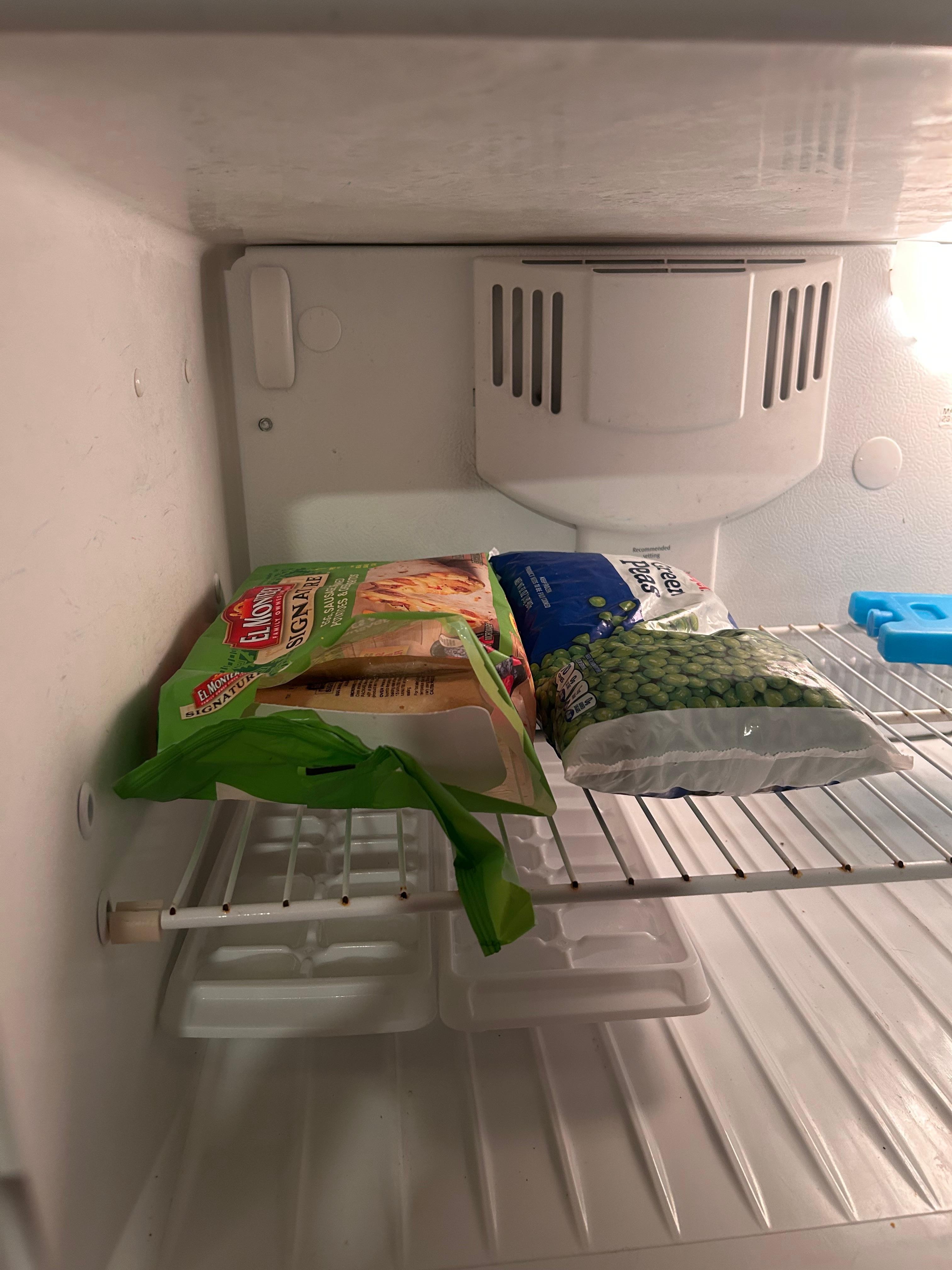 Open & yucky food in the fridge & freezer
