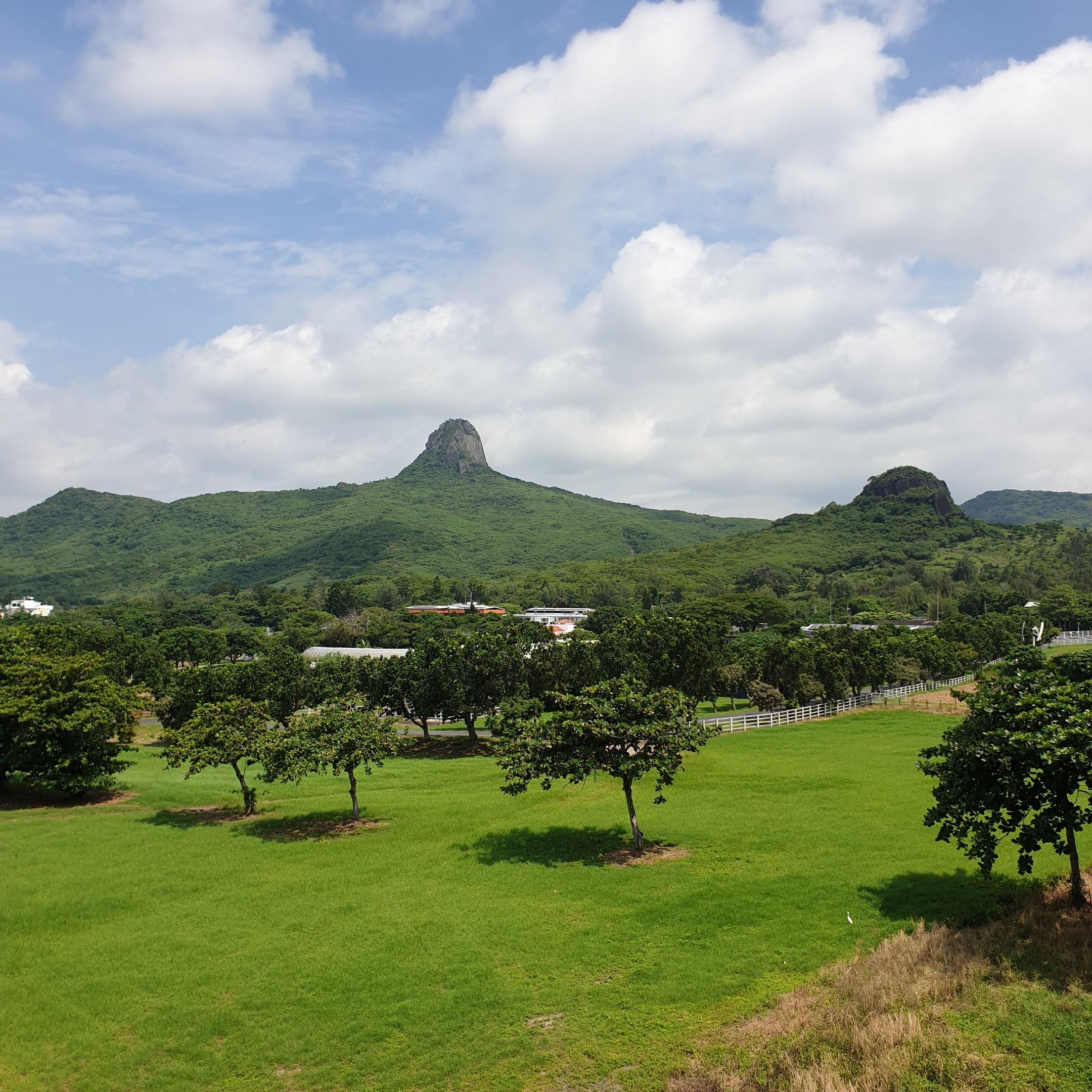 由後陽台近瞧牧場；遠眺墾丁國家森林遊樂區的大、小尖山~