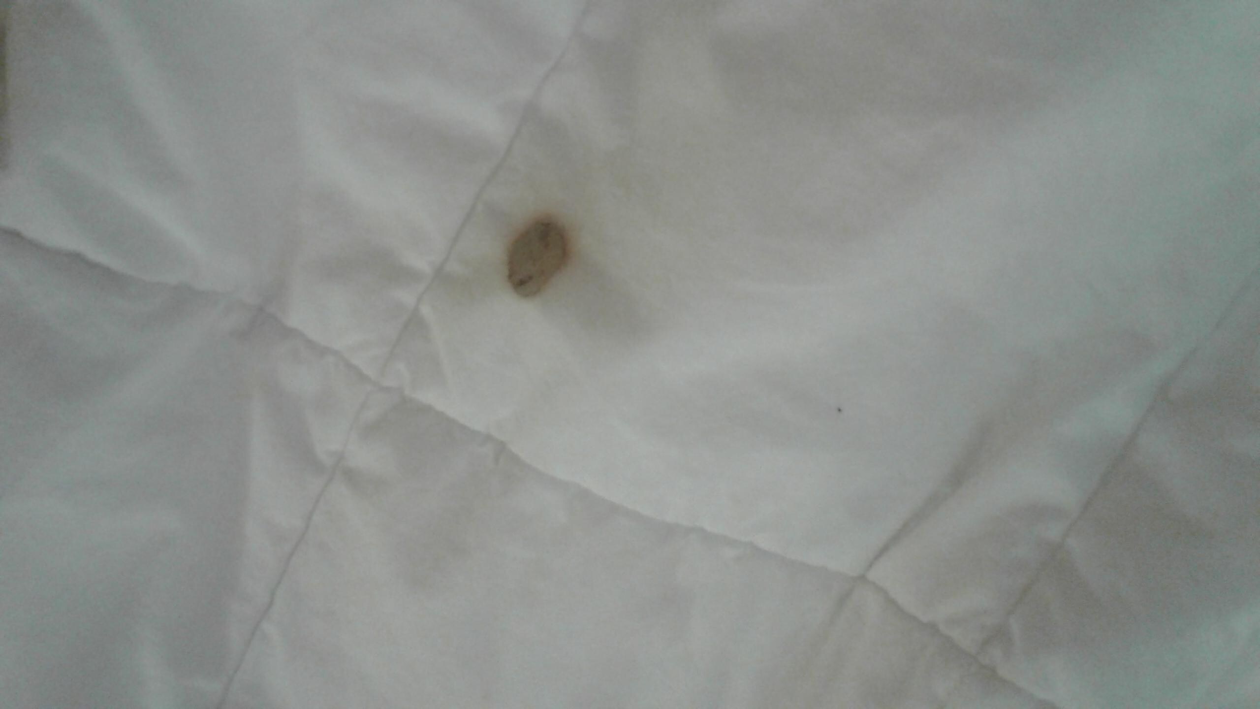 Burn holes in bedding.