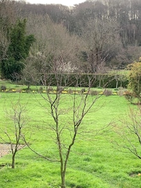 Vue sur le magnifique jardin