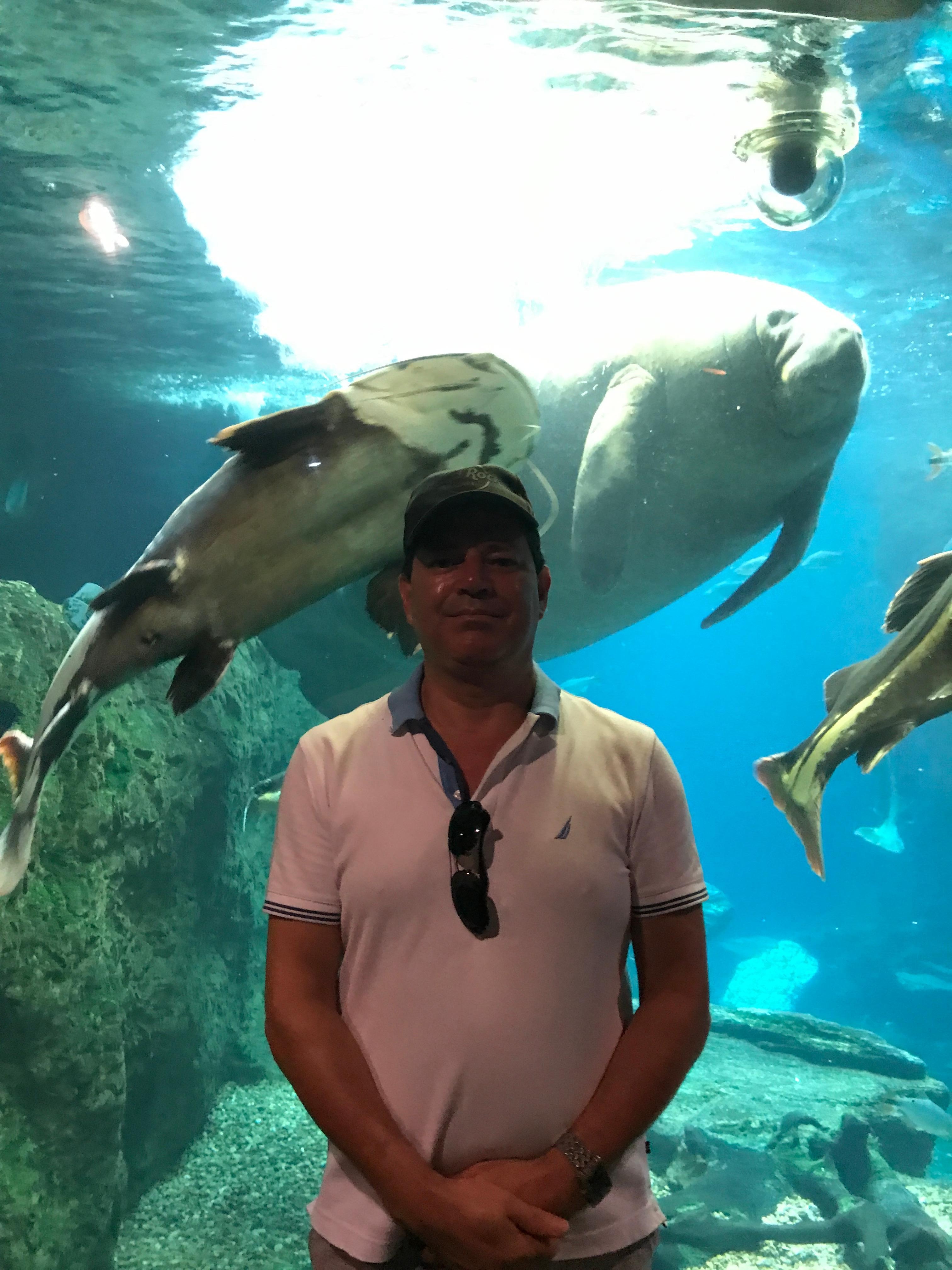 The Aquarium