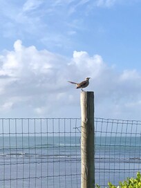 Acesso direto a praia