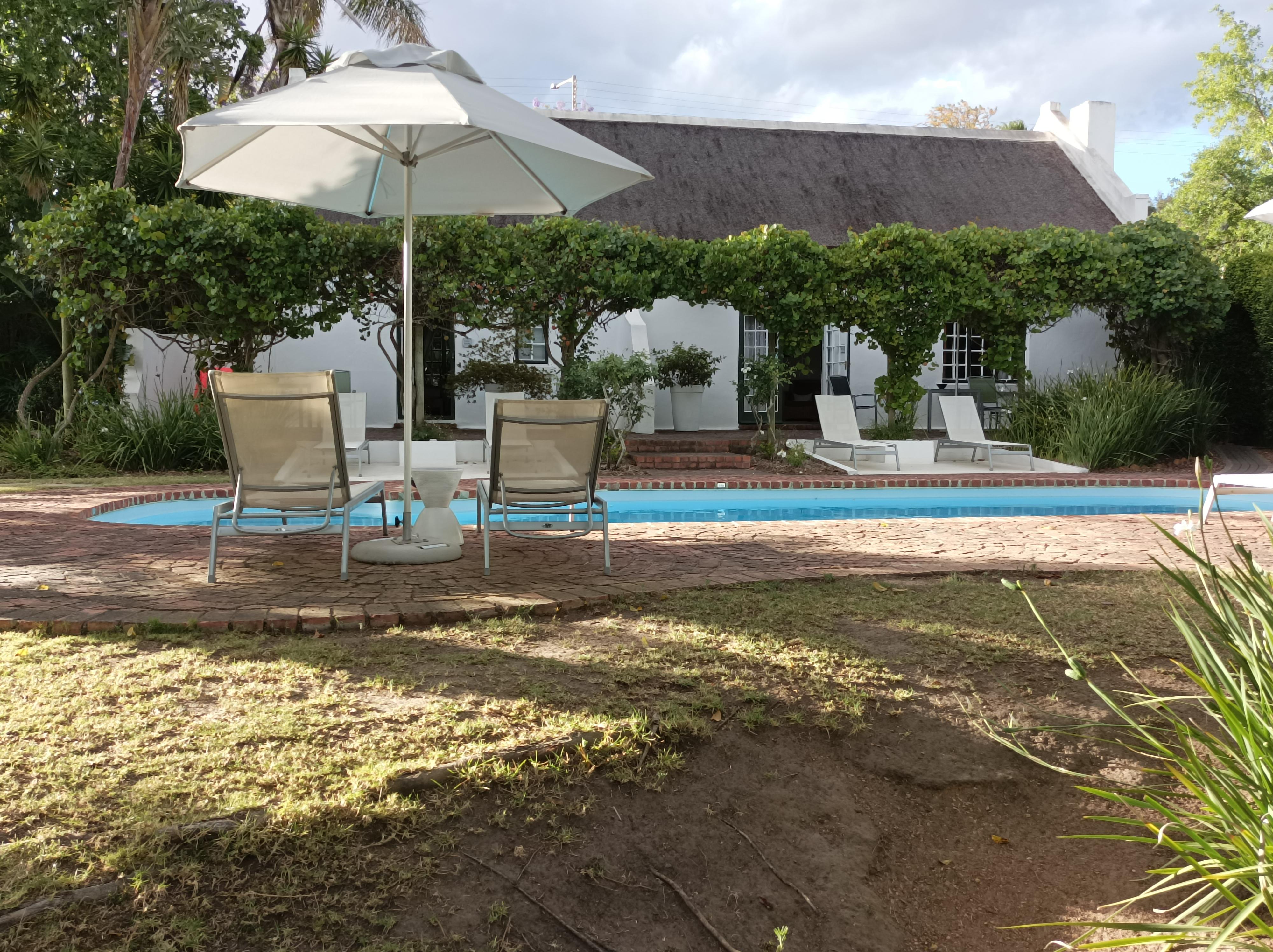 Manicured grounds overlooking grazing springbok, zebra and mongoose