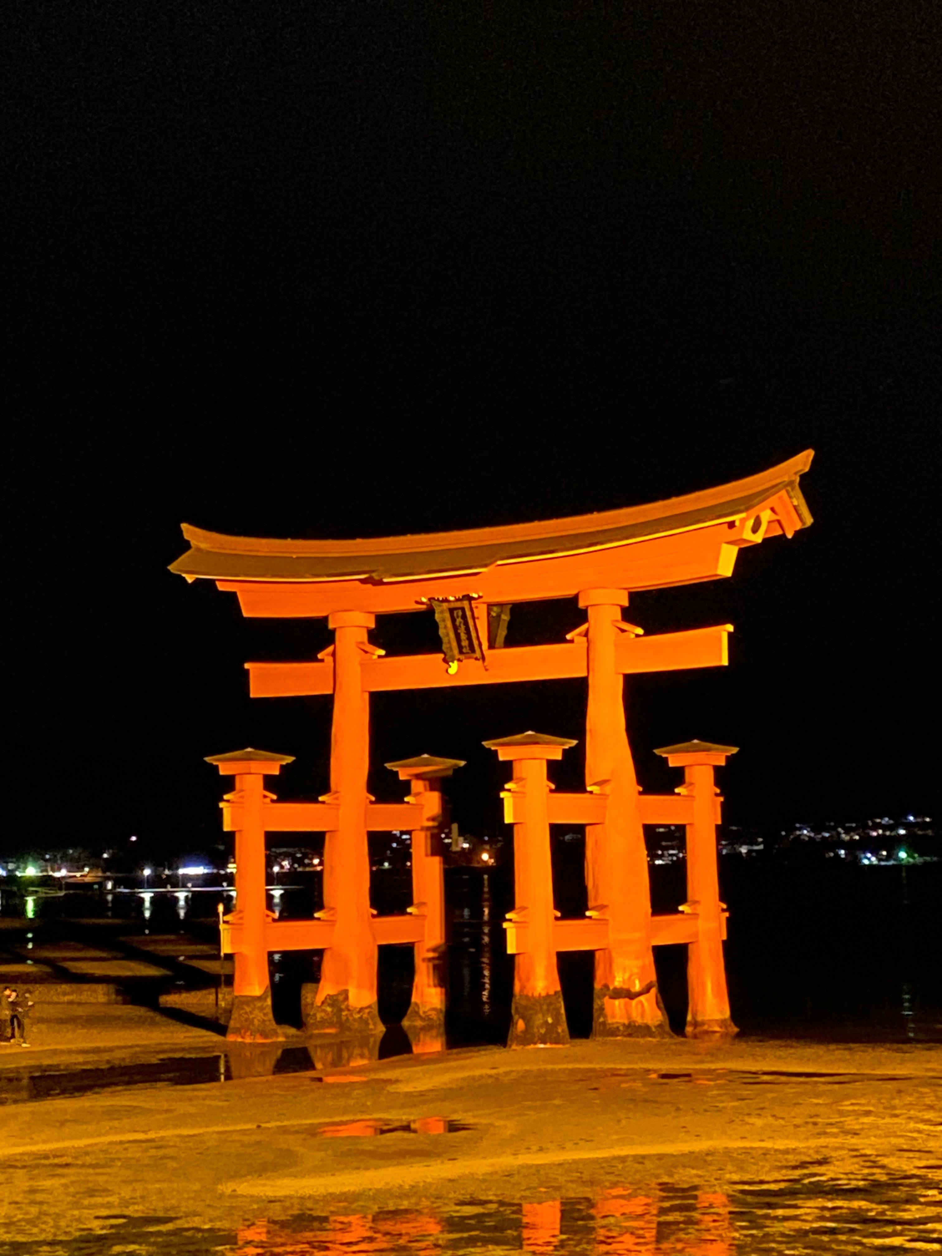 夜間のライトアップの鳥居アップ