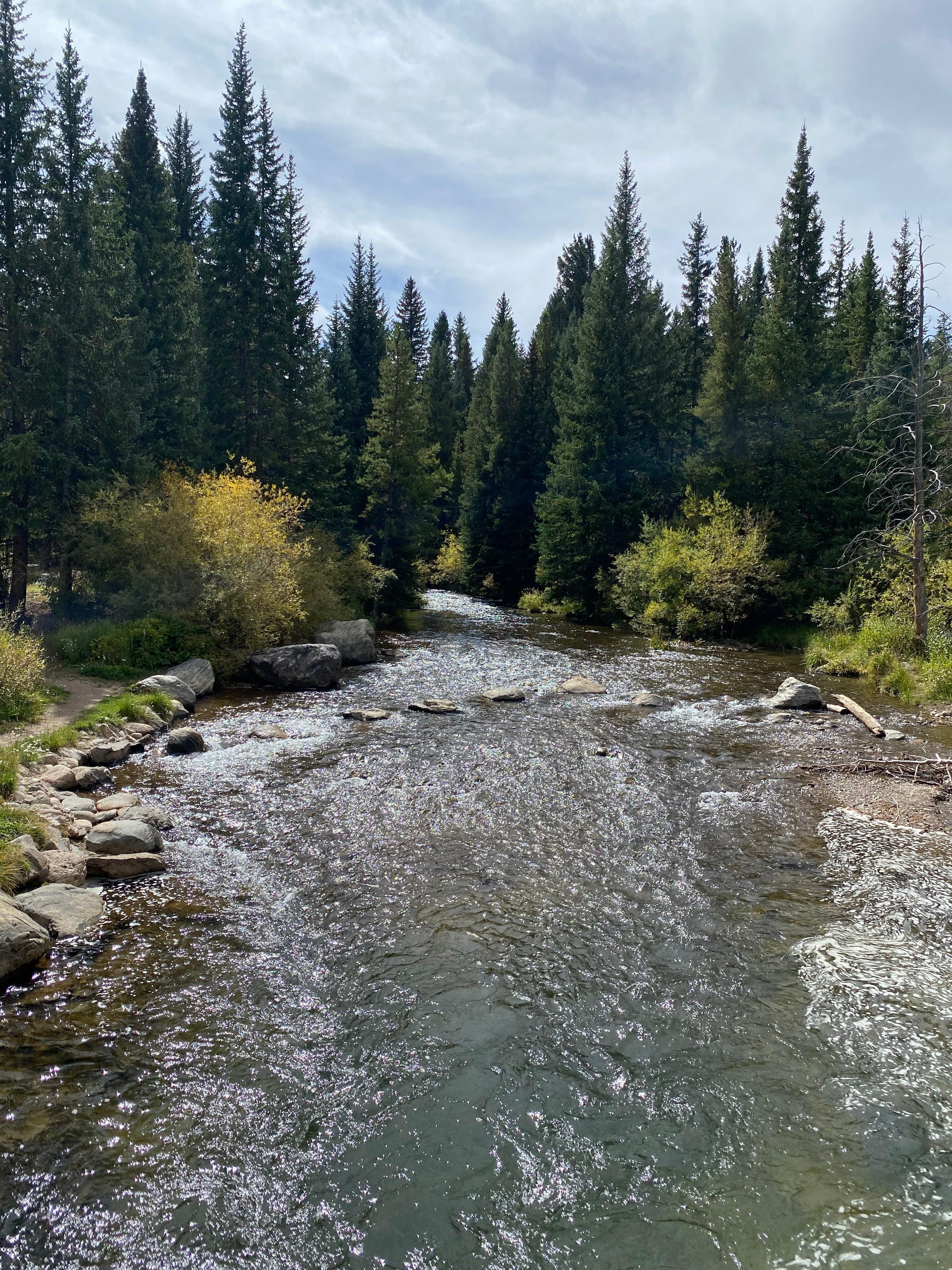 Stream right by the resort…with visible trout under the bridge