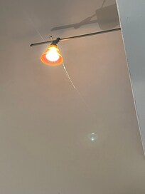Dust, or spider nets