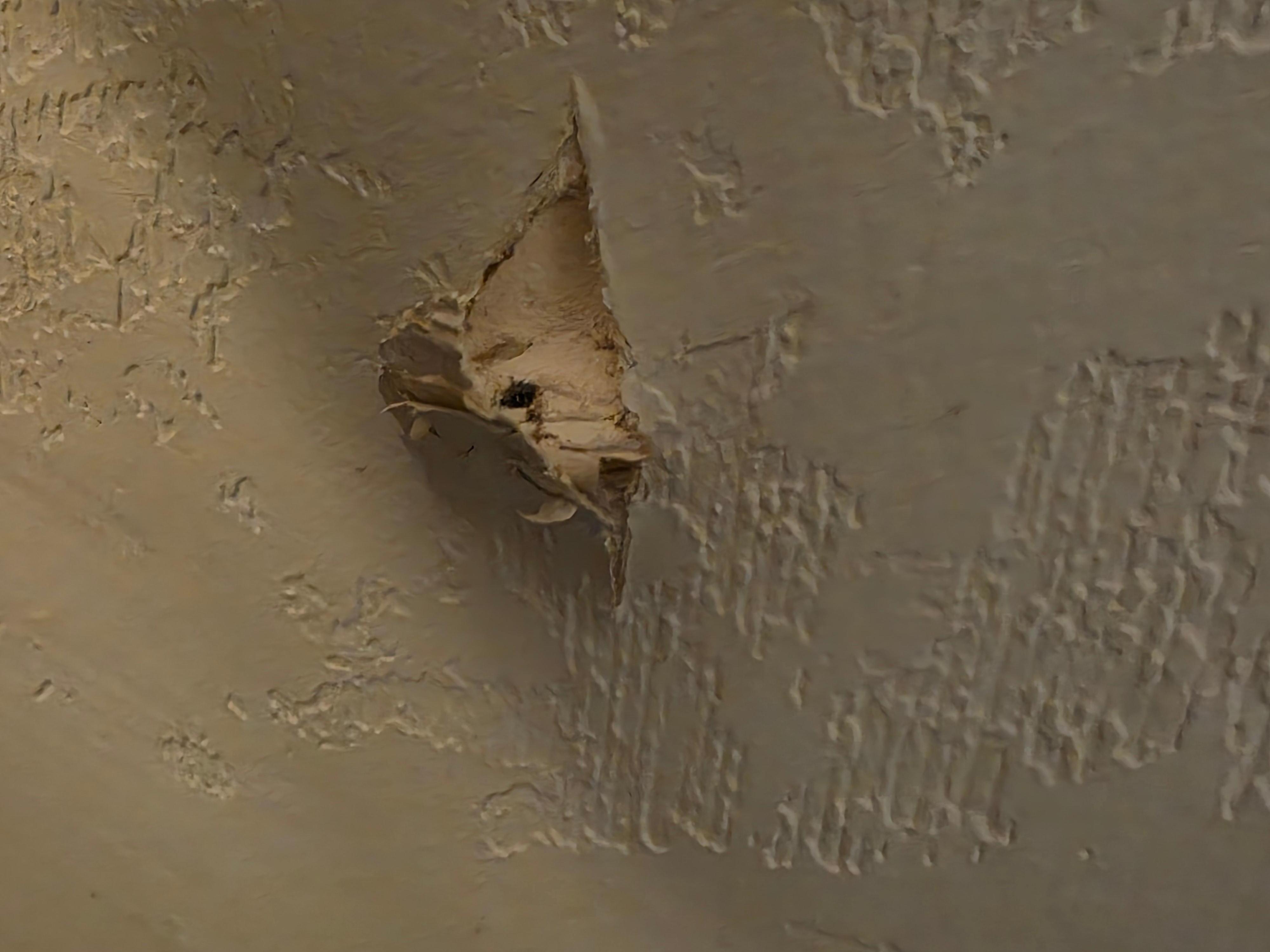 the gouge in the wall note no residue from the gouge indicating that this happened previously