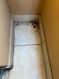 Cigarettes on balcony