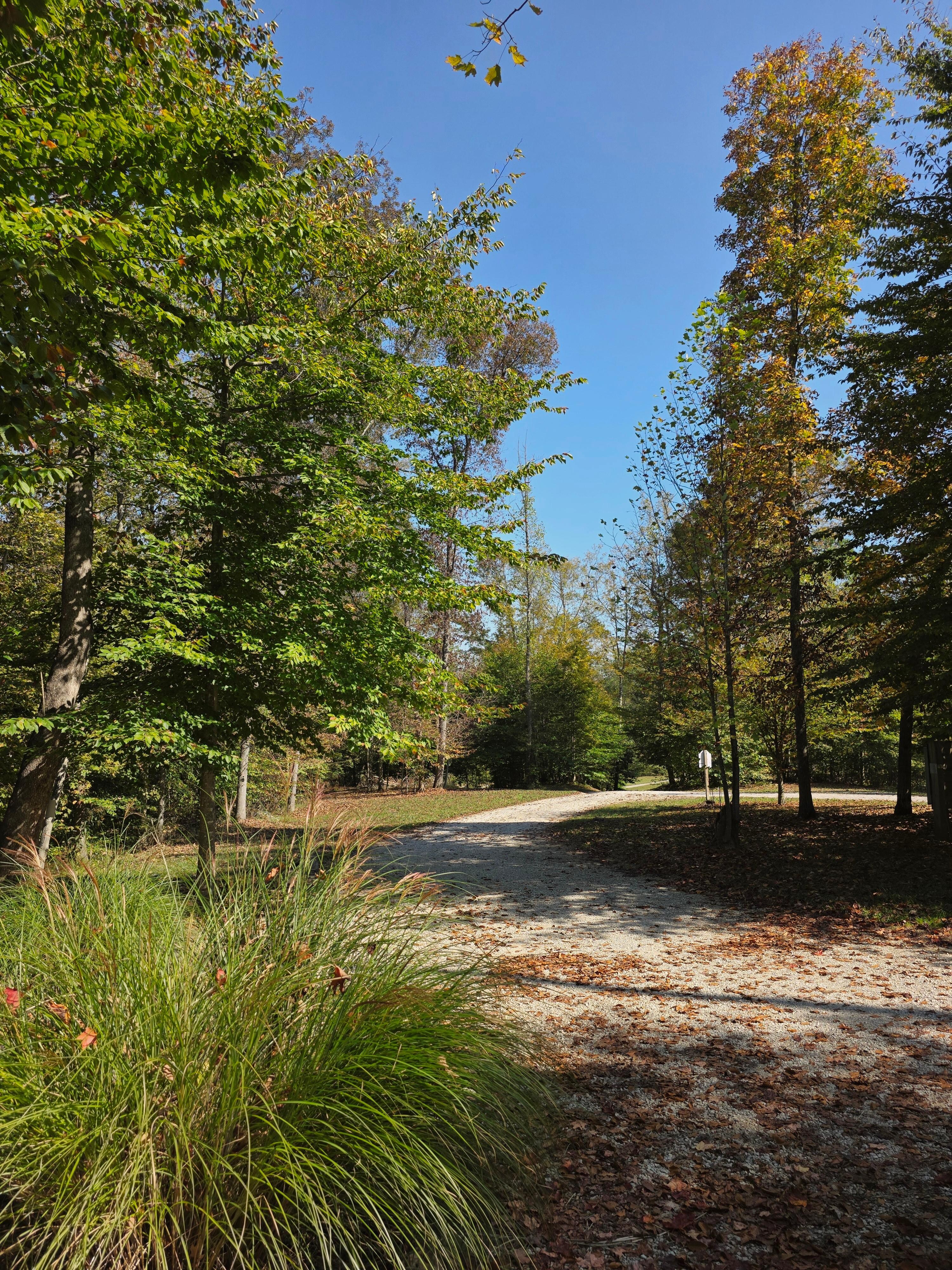 Fall View|Front Porch