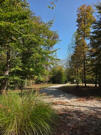 Fall View|Front Porch