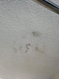 Mold in bathroom