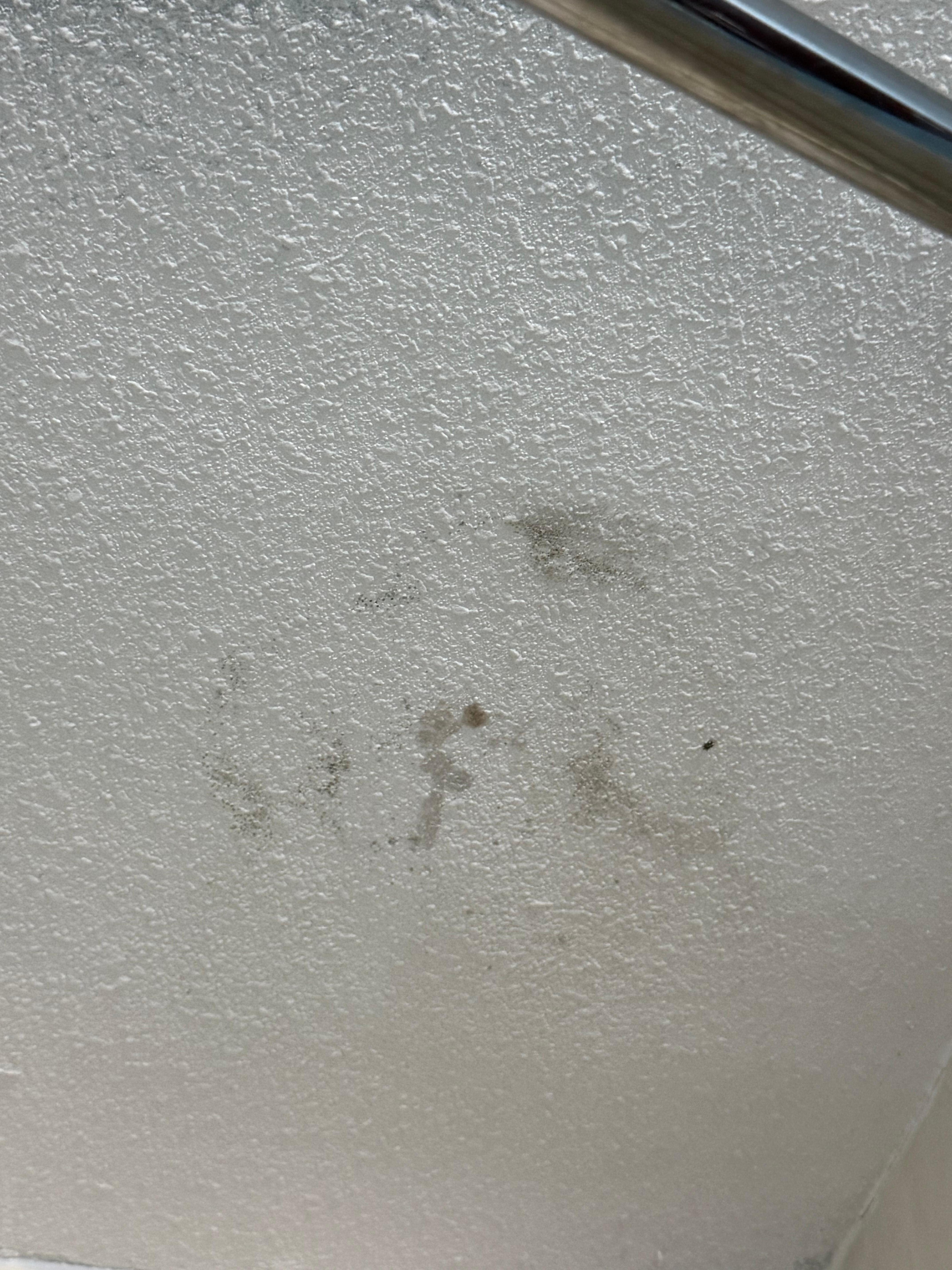 Mold in bathroom