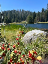 Beautiful lake