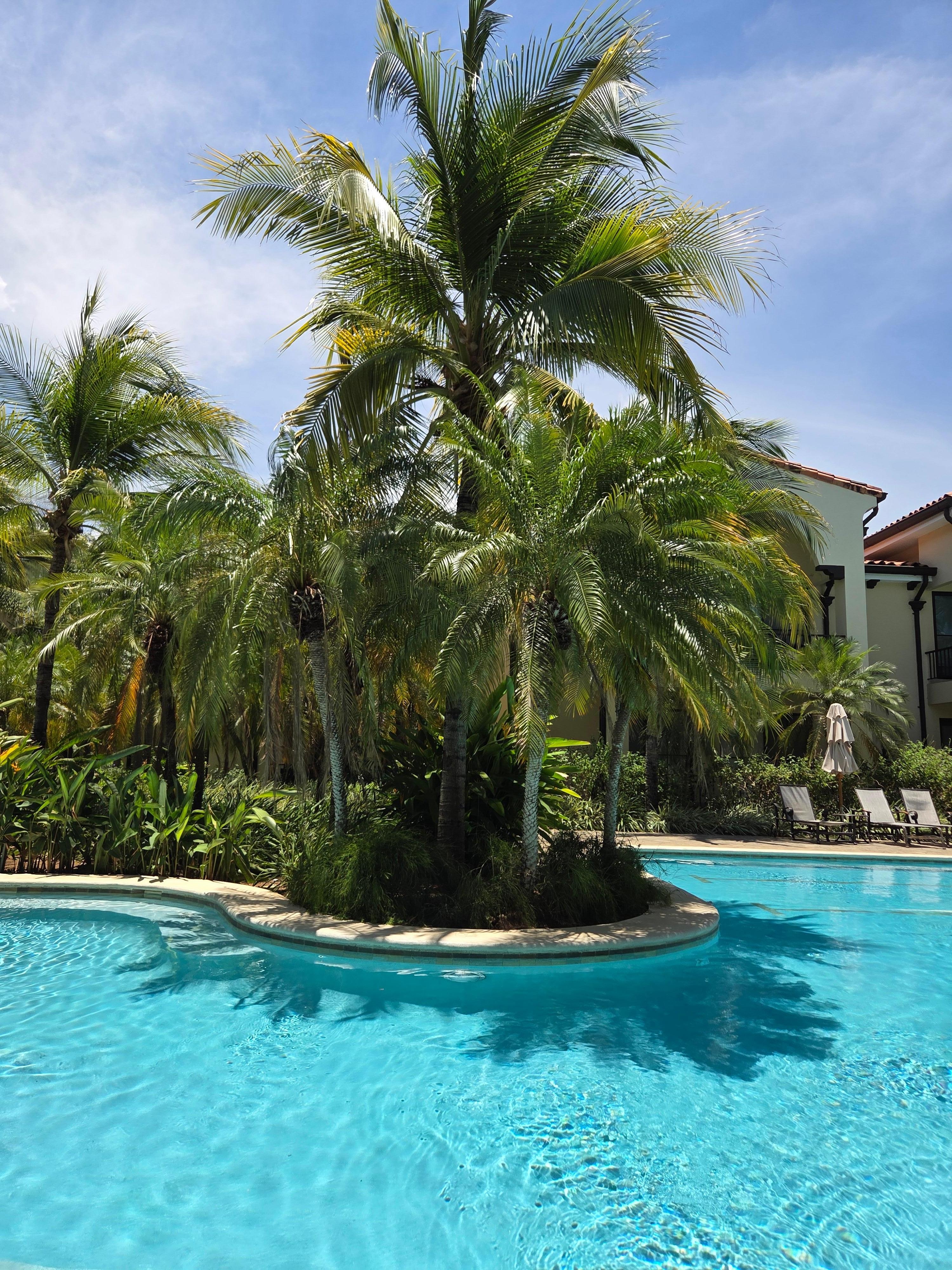 Beautiful pool just steps from the patio.